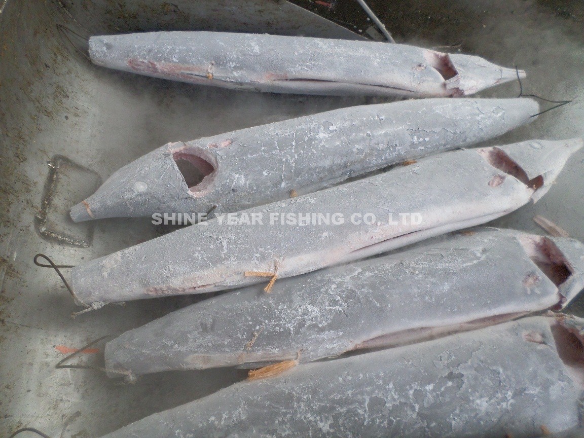 紅肉旗魚/Striped Marlin 