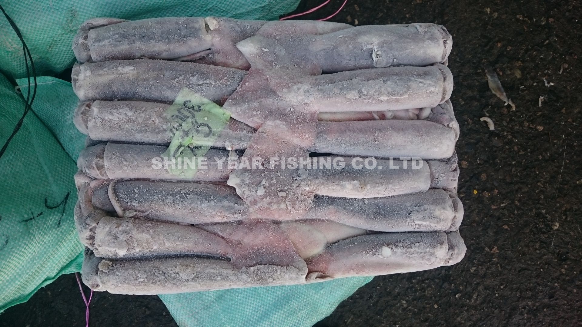 阿根廷魷魚 300-400克/ Argentine Squid 300-400g